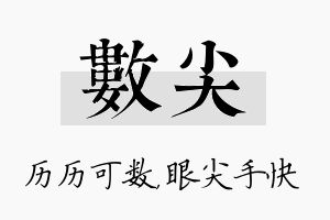 数尖名字的寓意及含义