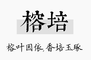 榕培名字的寓意及含义