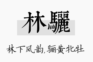 林骊名字的寓意及含义