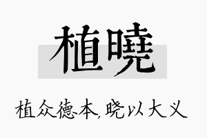 植晓名字的寓意及含义