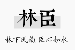 林臣名字的寓意及含义