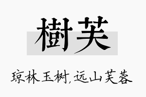 树芙名字的寓意及含义