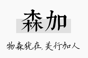 森加名字的寓意及含义