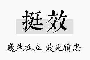 挺效名字的寓意及含义