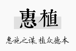 惠植名字的寓意及含义