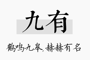 九有名字的寓意及含义