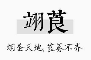 翊莨名字的寓意及含义