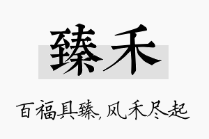 臻禾名字的寓意及含义