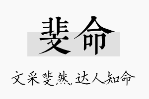 斐命名字的寓意及含义