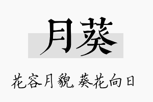 月葵名字的寓意及含义