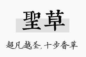 圣草名字的寓意及含义