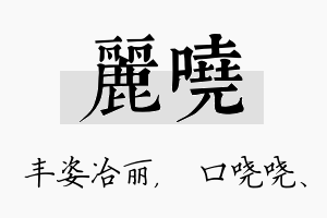 丽哓名字的寓意及含义