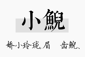 小鲵名字的寓意及含义