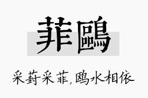 菲鸥名字的寓意及含义