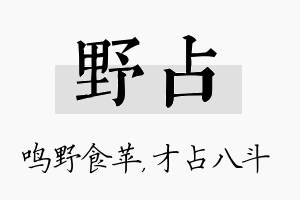 野占名字的寓意及含义