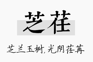 芝荏名字的寓意及含义