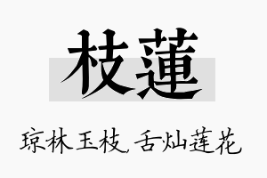 枝莲名字的寓意及含义