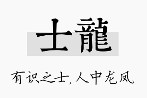 士龙名字的寓意及含义