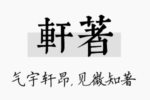 轩著名字的寓意及含义