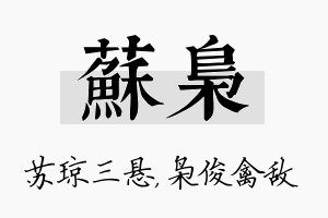 苏枭名字的寓意及含义