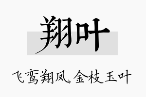 翔叶名字的寓意及含义