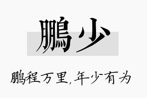 鹏少名字的寓意及含义