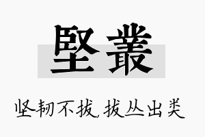 坚丛名字的寓意及含义