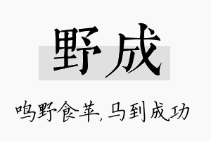 野成名字的寓意及含义