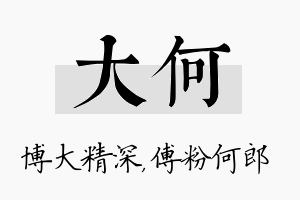 大何名字的寓意及含义