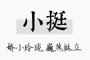 小挺名字的寓意及含义