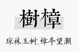 树樟名字的寓意及含义