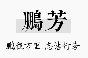 鹏芳名字的寓意及含义