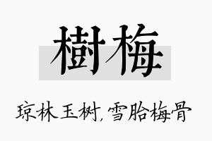 树梅名字的寓意及含义