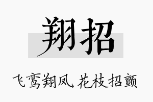 翔招名字的寓意及含义