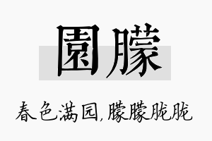 园朦名字的寓意及含义