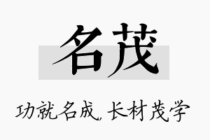 名茂名字的寓意及含义