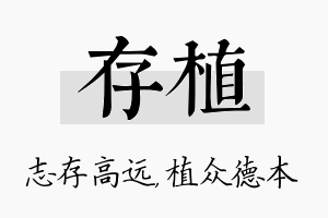 存植名字的寓意及含义