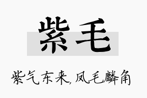 紫毛名字的寓意及含义