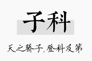 子科名字的寓意及含义