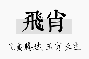 飞肖名字的寓意及含义