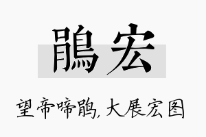 鹃宏名字的寓意及含义