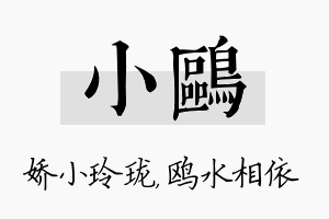 小鸥名字的寓意及含义