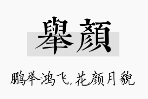 举颜名字的寓意及含义