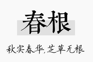 春根名字的寓意及含义