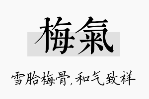 梅气名字的寓意及含义