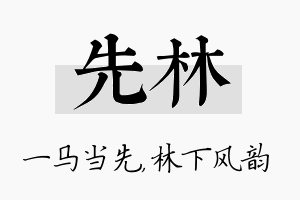 先林名字的寓意及含义