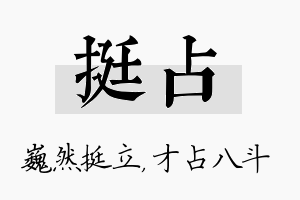 挺占名字的寓意及含义