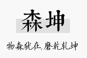 森坤名字的寓意及含义