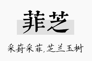 菲芝名字的寓意及含义