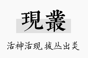 现丛名字的寓意及含义